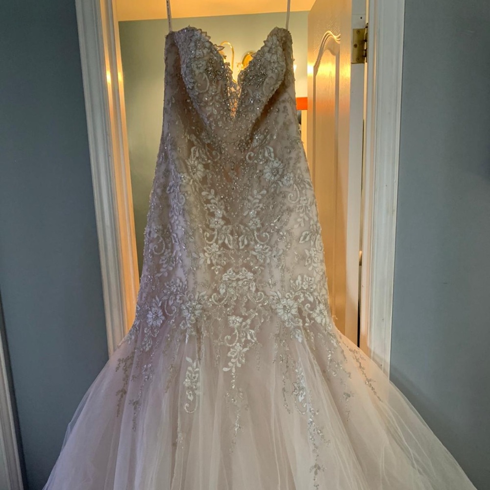 Kenneth Winston (Private Label By G) Wedding Dress - Fit n Flare BNWOT